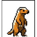 Honey Badger celebration: