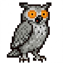 Flora McCombie - Owl